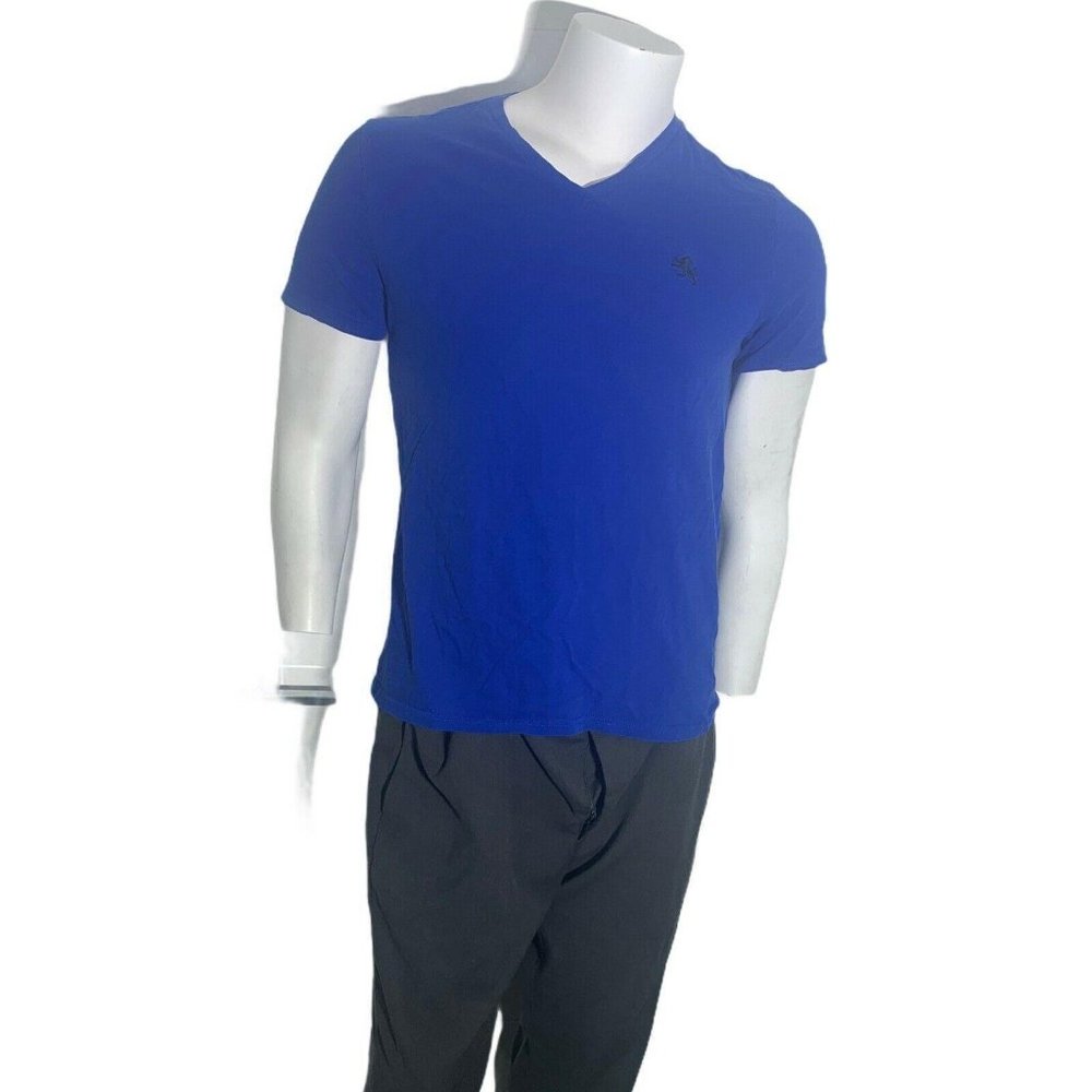 Express Mens Medium T Shirt Blue V Neck